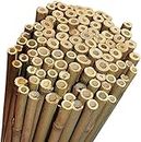 Canne di Bambù Naturali Aste 210 Cm per Sostegni Tutore Piante Alberi Ortaggi Orto Pali Arredamento (10)
