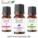Tanah Essential Oil Company 100%Pure Essential Oils 10ml 30ml 100ml Aromatherapy