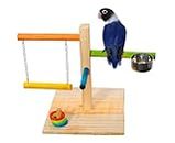 Poonch Wooden Bird Playing Stand with Swing Feeder Bowl Multiple perches and Ring Game Multi Food Color for Budgies Cockatiel Lovebird and Other Parrots