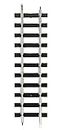 Bachmann Trains - G Scale (Large Scale) Straight Track Piece - Case of 50 Pieces