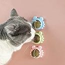 Sunkizzrs® Catnip Toy (1 Pcs) Cats Rotatable Edible Mint Natural Healthy Teeth Cleaning Chew Claw Toy for Cat/Kitten (Catnip Mint Ball)