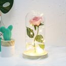 Beauty And The Beast Enchanted Rose in a Glass Dome LED Light Lamp Decor Gift