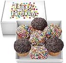 Happy Birthday Cupcakes Large Gift Basket Colorful Rainbow Sprinkle | 7 INDIVIDUALLY WRAPPED Fresh Cupcakes | Party Food Gift