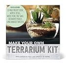Make Your Own Terrarium Kit: Mini Gardens You Can Create at Home – Includes: Acrylic Vessel, Decorative Pebbles, Moss Stone, Fine Sand, Long-Handled Tweezers, Project Book