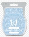 Inhale Exhale Scentsy Bar