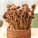 Getrockneter Teebaumpilz 150g Farmer's Specialty Zarter Pilz für Suppe