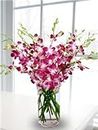 eflowerwholesale Prime shipping Mother’s Day Collection Premium Cut Purple Orchids (20 stems with Vase) Double the Love (Support Small Business)