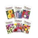 GIFTONETREE Easy to Grow Flower Seeds Combo for Home Gardening | 6 Different Flowers | Calendula, Delphinium, Petunia, Mesembery, Dahlia and Chrysthanium