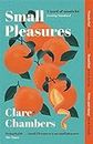Small Pleasures: Longlisted for the Women's Prize for Fiction