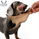 Fallow Deer Antler Chews For Dog 100% Puppy friendly ,Soft Easy Dog Chew,Calcium