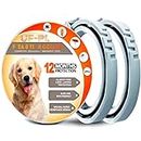 UF-PL 12 Month Dog Collar - Dog Collar for All Dog Breeds and Sizes - Adjustable, Safe, Durable & Effective Collar for Dog 25 Inches - Long Lasting, Flexible, Portable and Waterproof Collar for Dogs