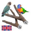 2x Wood Parrot Bird Stand Tree Branch Hanging Toys Cage Perches Pet Budgie UK