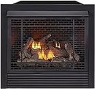Duluth Forge Dual Fuel Ventless Gas Fireplace Insert, Remote Control, 9 Fire Logs, Use with Natural Gas or Liquid Propane, 32000 BTU, Heats up to 1500 Sq. Ft., Black