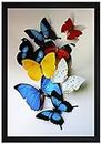 SAF paintings SANFO468 Butterfly Modern Art UV Coated Painting with Frame for Home Decor (Multicolor, 14" x 20")