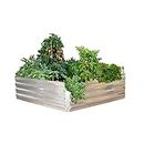 TrustBasket Heavy Duty 0.5 GSM Galvanized Raised Garden Beds Metal Elevated Planter Box Steel Large for Terrace Garden Plants- Grow Vegetables, Flowers, Herbs for Gardening Bed (40 inch)