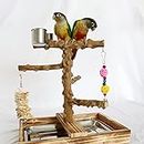 LSSH GmbH Bird Perch Platform Stand, Wood Parrot Stand Playground Cage Accessories for Small Anminals Rat Hamster Gerbil Mouse Lovebird Finches Conure Budgie Exercise Toy (Branch), Black