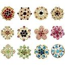Vanyibro 12 Pcs Crystal Button Brooches,Floral Brooch Pin Set for DIY Christmas Crafts, Wedding Party Clothing, Collar, Bags Accessories,Rhinestone Corsage and Dress Pins (Multicolor)