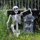 160cm/5.2ft Life Size Halloween Human Skeleton Party Window Decor Bones Posable