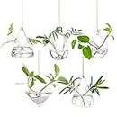 Glass Large Hanging Planters Water Air Plant Succulent Containers Terrarium Kits Candle Holder Indoor Outdoor 2 Holes 5Pcs/Set with Strings Rope for Home Garden Balcony