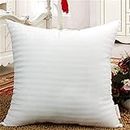 JDX Premium Luxuious Quality Cushion 24X24-Inches Set of 2, 18011-2-24x24