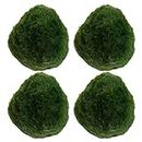 Hidyliu Pack of 4 Mini Algae Balls, Moss Balls, Aquarium Decoration, Mini Aquarium Plant, Made of Soft Plastic, Easy to Care, Shrimp and Snails Love You, for Aquarium (Green), 4 * 4cm