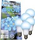 MiracleLED Blue Spectrum LED Grow Light (4-Pack)