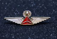 WINGS DELTA AIRLINES AIR LINES Wing Pin Gold Replica 60mm/2.4 in