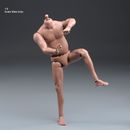 1/6 Fat Man Seamless Figure Body Soft Arms Legs Flexible Male Doll Model 12''