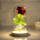 Beauty and The Beast Rose Lamp In the Glass Dome Eternal LED Light Rose Flower