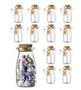Smiths Mason Jars 12 Pack Mini Glass Bottles - 100ml, 10cm x 5cm Small Glass Bottles with cork for Spell Small Jars - Great for Food Storage, DIY Projects, Wedding Favors
