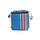California Innovations 24 Liters Insulated Portable Travel Chiller Cooler Bag (Blue)