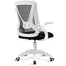 Blisswood Ergonomic Office Chair Desk Chair For Home Office, Adjustable Mesh Chair, Swivel Computer Chair With 90° Flip-up Armrest & Lumbar Support, 360° Rotation Work Chair