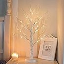 Vanthylit White Twig Christmas Tree with Lights 2FT Tabletop Birch Tree with 24 Warm White LEDs Battery Operated LED Birch Tree for Home Party Wedding Easter Christmas Decoration