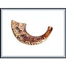 New 17" Rams Horn Shofar Authentic Natural From Israel