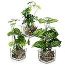 MyGift Set of 3 Artificial Plants Faux Tabletop Greenery w/ Clear Glass Pots
