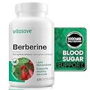 Vitasave Berberine - Ultra Potent 1000mg Daily Serving - Blood Sugar & Glucose Support - High Potency Formula with 120 Capsules