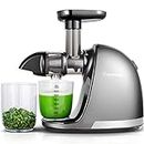 AMZCHEF Slow Juicer Machine - Masticating Juicer with Reversing Function to Prevent Jamming - Cold Press Juicer with Brush and 2 Cups - Silent Juice Extractor - Silver
