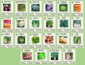 ORGANIC, NON-GMO, NON-HYRID, HEIRLOOM Vegetable Seeds - Autumn/Winter
