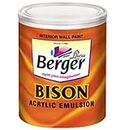 Berger Bison Acrylic Emulsion Paint for Walls, Interior Emulsion (1, White)