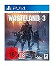 Wasteland 3 Day One Edition - PlayStation 4 [Importación alemana]