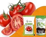 Tomato Seeds for Farming | Home | Garden | Vegetable | Hybrid | Kitchen | Planting | Terrace | Balcony | Eating | Solanum Lycopersicum | Tameta | Tamatar | Desi - 0.05 Gram : 163 Seed
