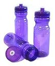 Rolling Sands 24oz Drink Bottles Purple (Set of 3)
