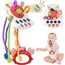 Acacing 6-12 Month Old Baby Toys | Toys for 6 7 8 9 10 11 12 Month Old Baby | Sensory Toys for Babies 6-12 Months | Baby Toys 12-18 Months | Food Grade Silicone Pull String | Christmas Present&Gifts