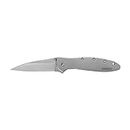 Kershaw Leek Pocket Knife, 3" 14C28N Stainless Steel Drop Point Blade, Spring Assisted Knife, Folding EDC