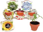 Seeds Terracotta Mini Grow Pots | Herb, Plant, Flower Starter Kit for Kids & Adu