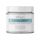 Living Well with Dr. Michelle Remineralizing Tooth Powder | Fluoride-Free Formula with Hydroxyapatite | Natural Cavity Prevention & Remineralization | Safe & Natural Ingredients | Cool Mint Flavor