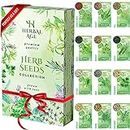 Herbal Age Grow Your Own Herb Garden Kit, 12 Herbs Plants, 8700 Herb Seed Box, Herb Seeds for Planting UK, Salad Leaves, Basil Seeds, Mint, Cress Seeds, Veg Plant Gardening Gift for Men, Women, Kids