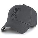 Liverpool FC Charcoal Crest Cap - Authentic EPL Merchandise