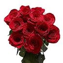 2 Dozen Red Roses- Fresh Flowers- Beautiful Gift