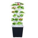Hydroponics Growing System 30-Holes Vertical Garden Planter Indoor Smart Garden Kit with Pump and Movable Water Tank Vegetable Plant Gift for Gardening Lover